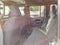 2021 Jeep Wrangler Unlimited Sport Altitude 4x4