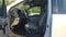 2019 Ford Super Duty F-250 SRW XLT 4WD Crew Cab 6.75' Box
